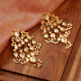 Mayur Earrings