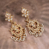 Heeramandi Earrings